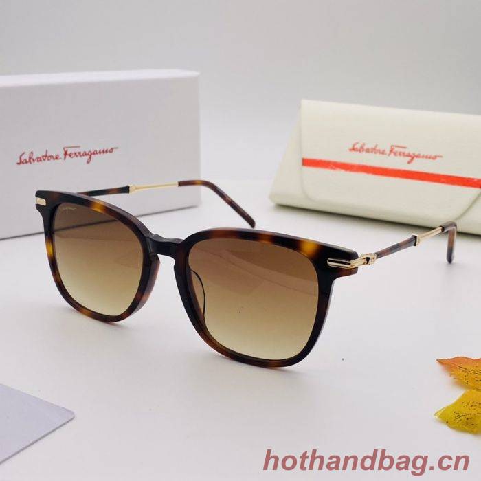 Salvatore Ferragamo Sunglasses Top Quality SFS00121